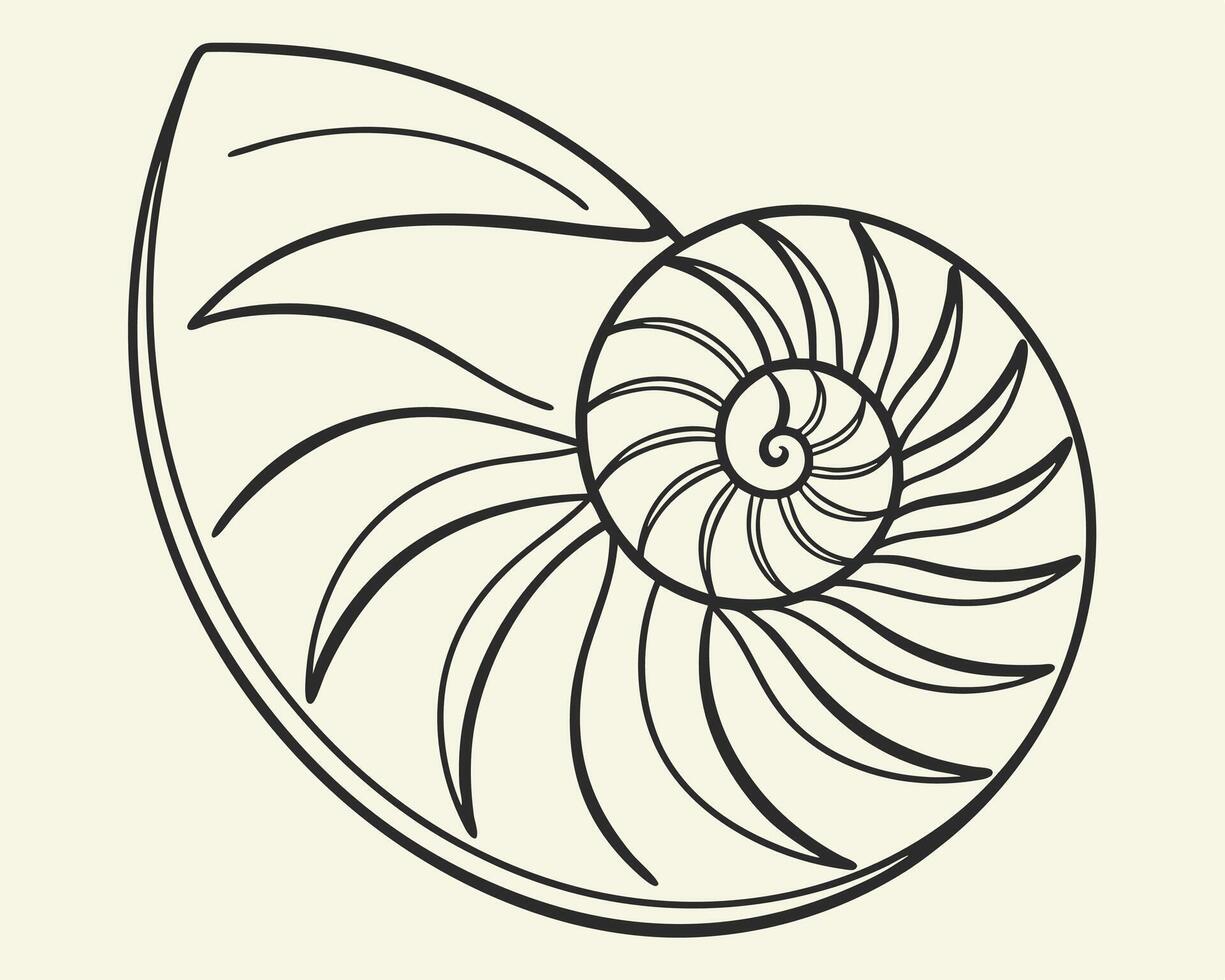 Elegant black and white illustration of a nautilus shell in a minimalist graphic style vector