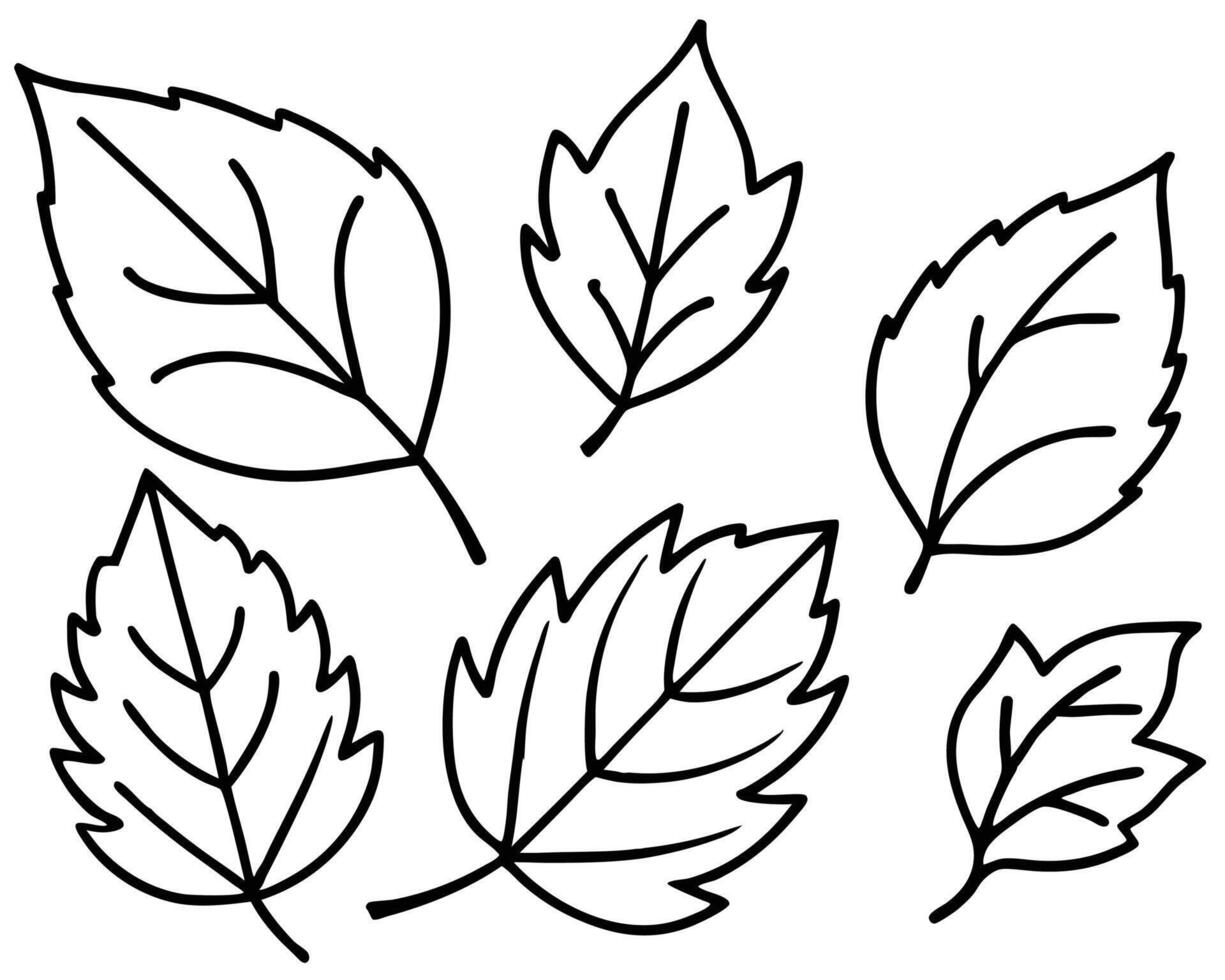 Black outline illustrated leaf collection on white background suitable for decorative design elements and patterns vector