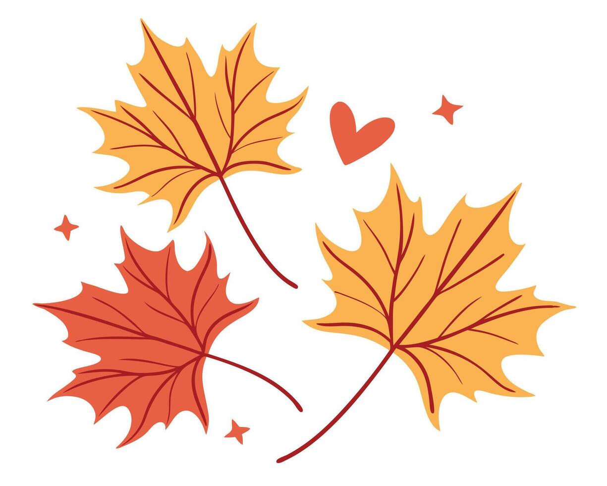 Beautiful hand drawn illustration of autumn maple leaves with a heart and star elements on white background vector