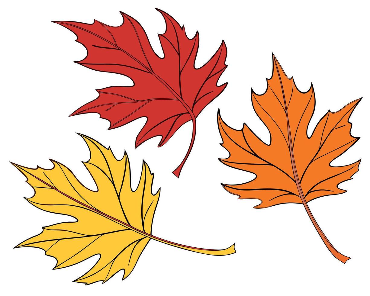 Vibrant illustration of autumn leaves showcasing a colorful seasonal arrangement in artistic style vector