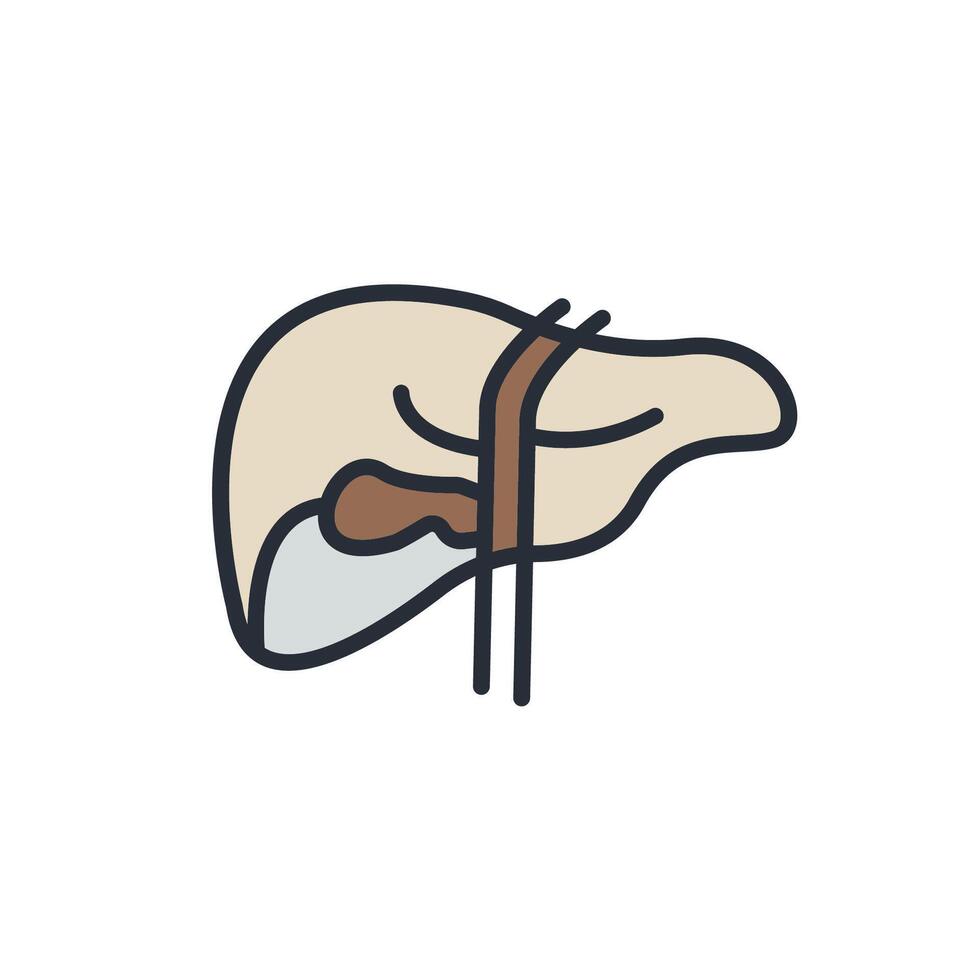 liver icons color isolated vector