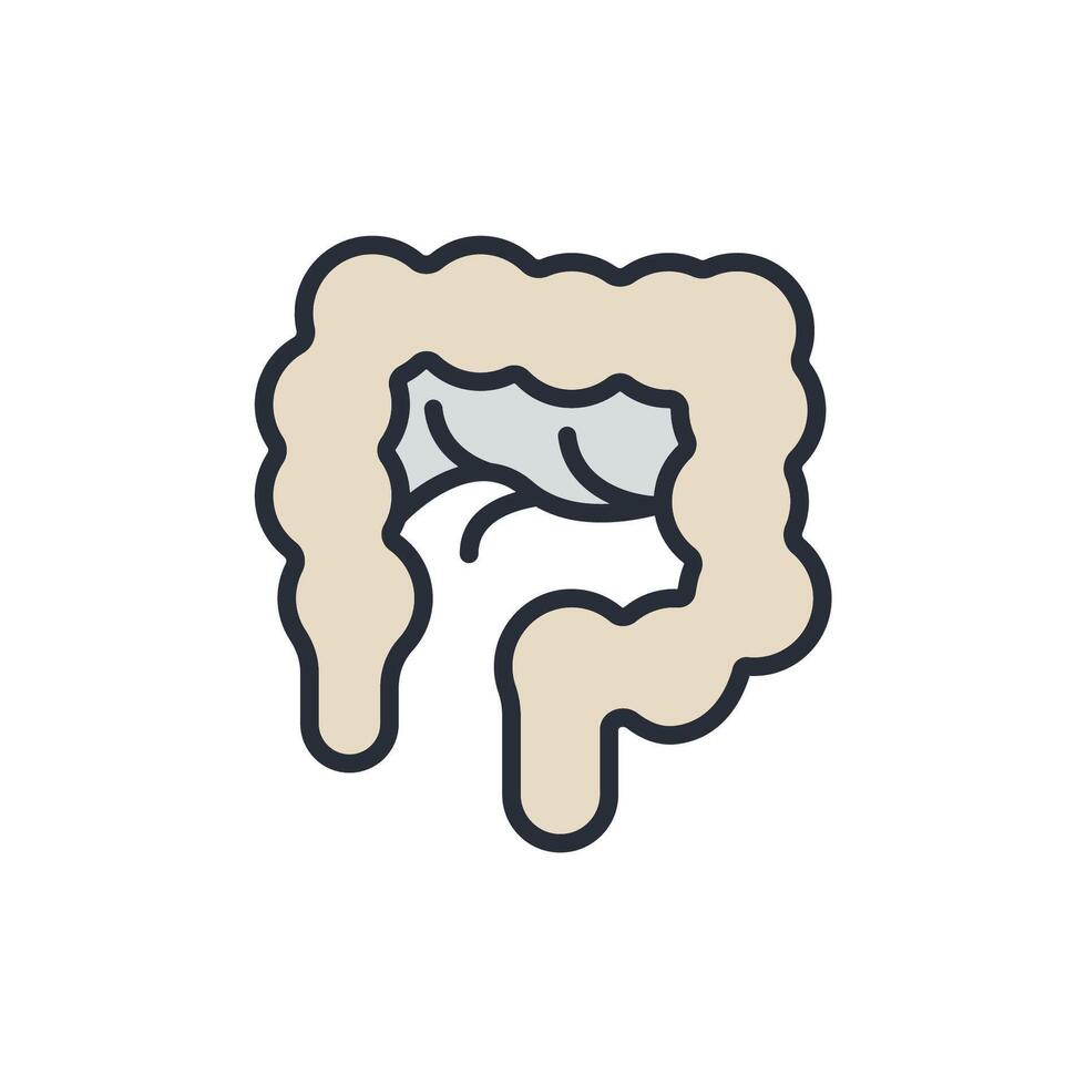 intestine icons color isolated vector