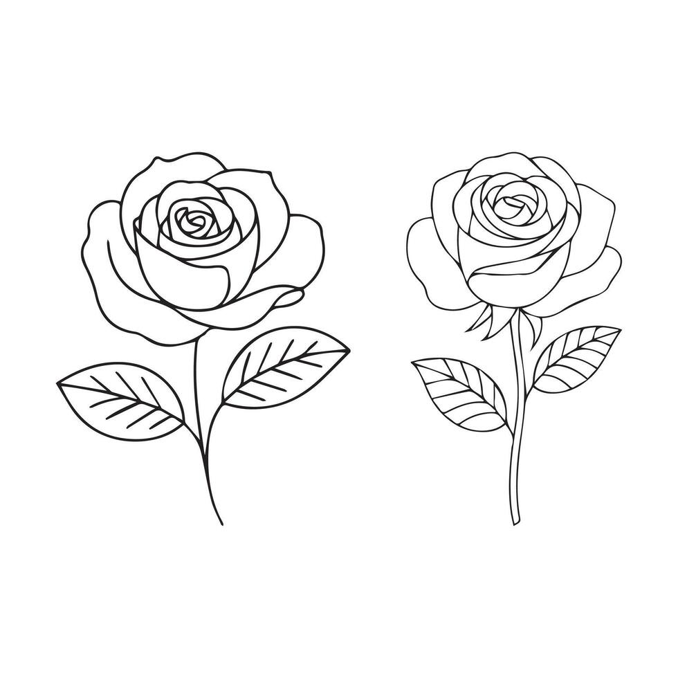 line art rose flower vector