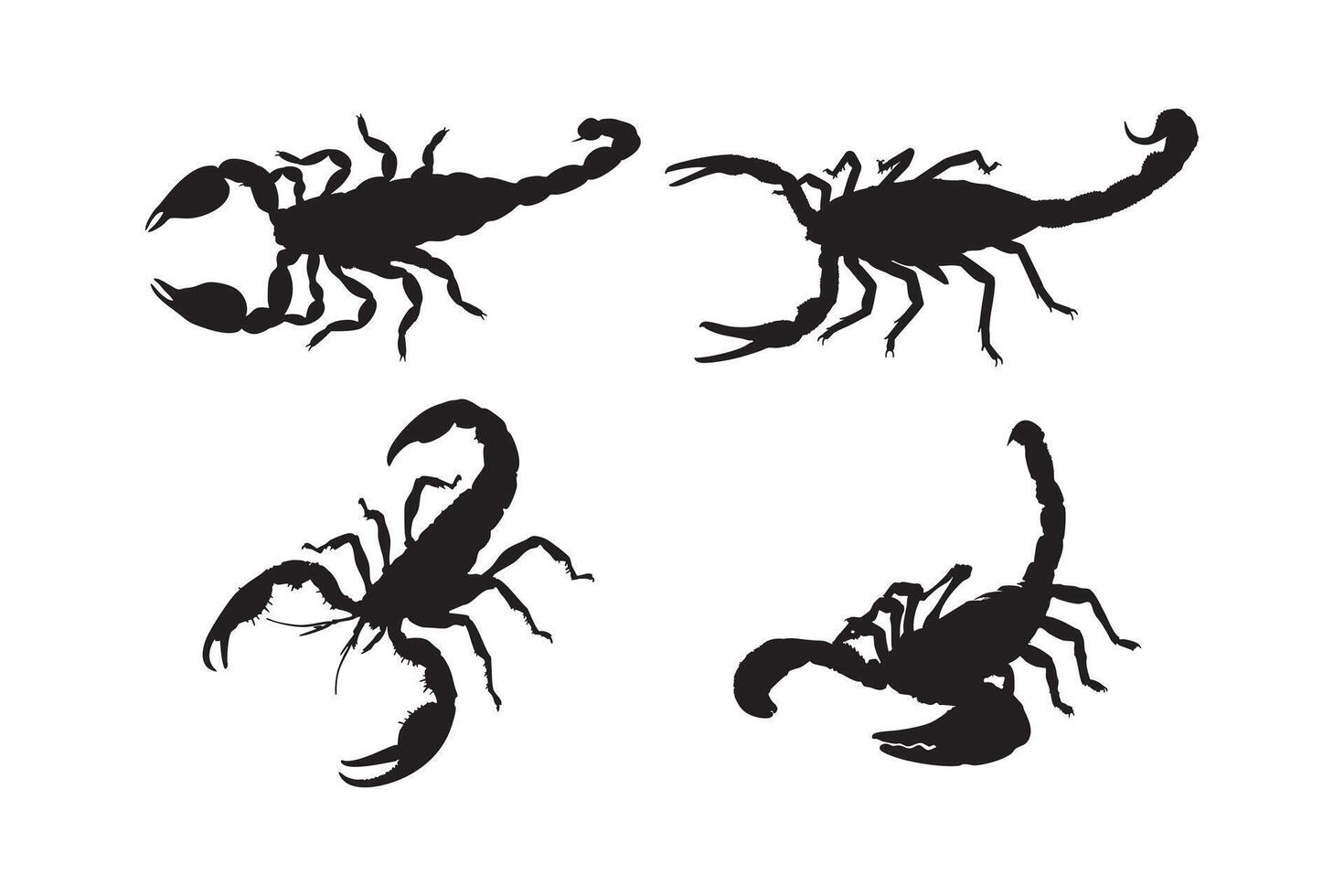Black Scorpion Silhouette Set Walking Scorpion Illustrations Isolated on White Background vector
