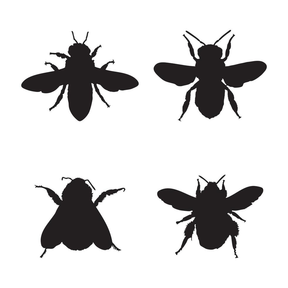 Black Bee Silhouette Set Insect Illustrations Isolated on White Background vector