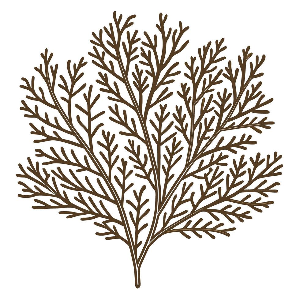 Brown botanical branch silhouette with delicate thin leaves hand drawn natural foliage, simple nature illustration vector
