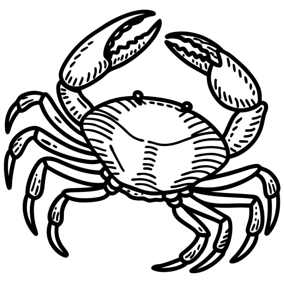 Detailed black and white crab illustration hand drawn ocean animal with large claws, marine wildlife, sea life art vector
