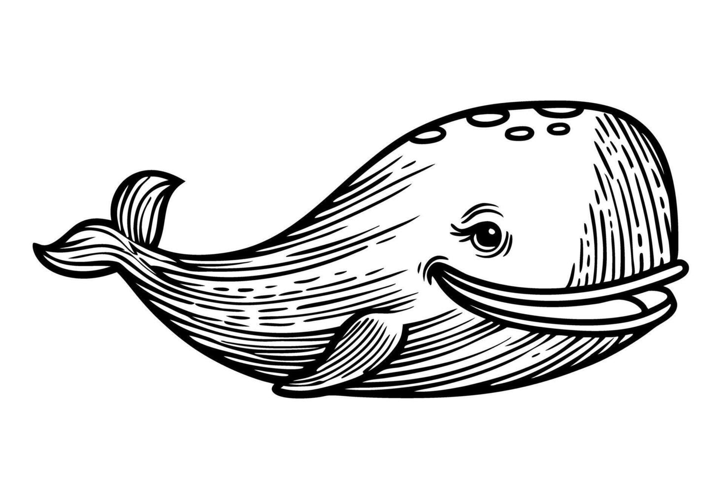 Smiling whale illustration with detailed line art happy ocean animal, black and white marine mammal drawing vector