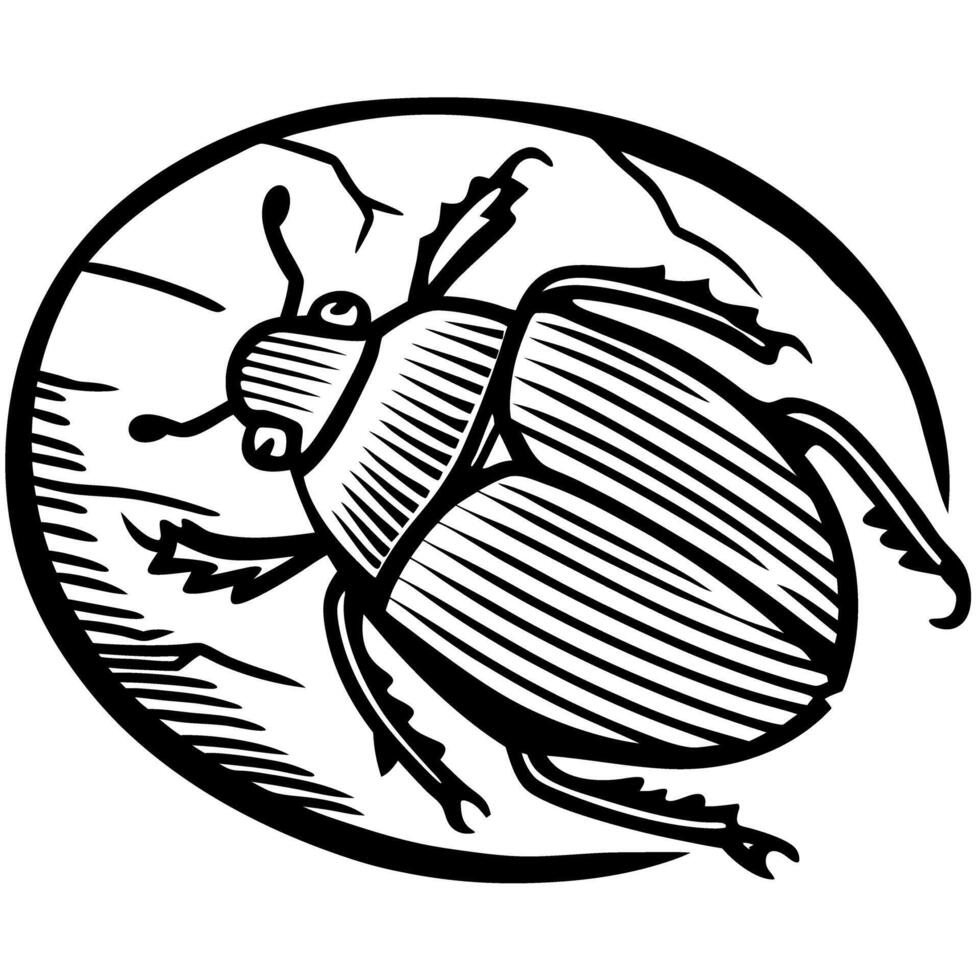 Scarab beetle illustration ancient insect outline, black and white engraving, symbol of transformation and rebirth vector