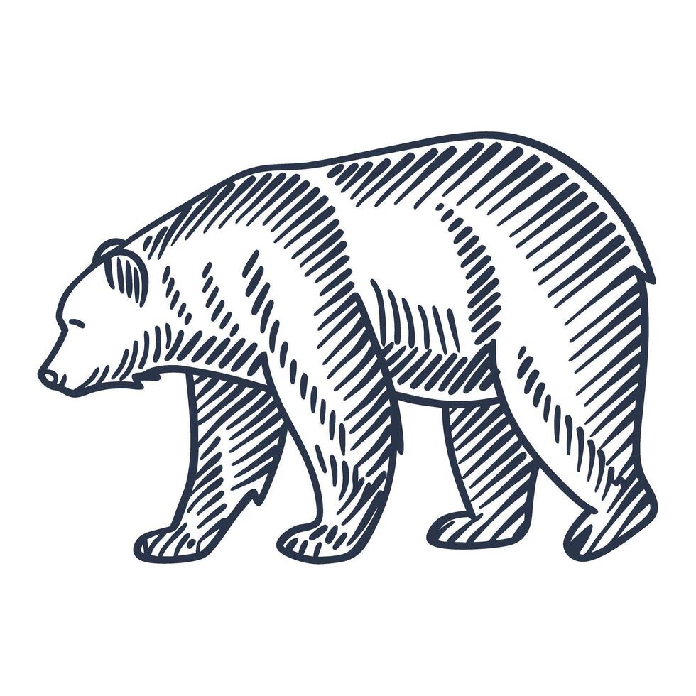 Hand drawn bear illustration walking wild animal sketch, detailed line art wildlife design, monochrome isolated vector