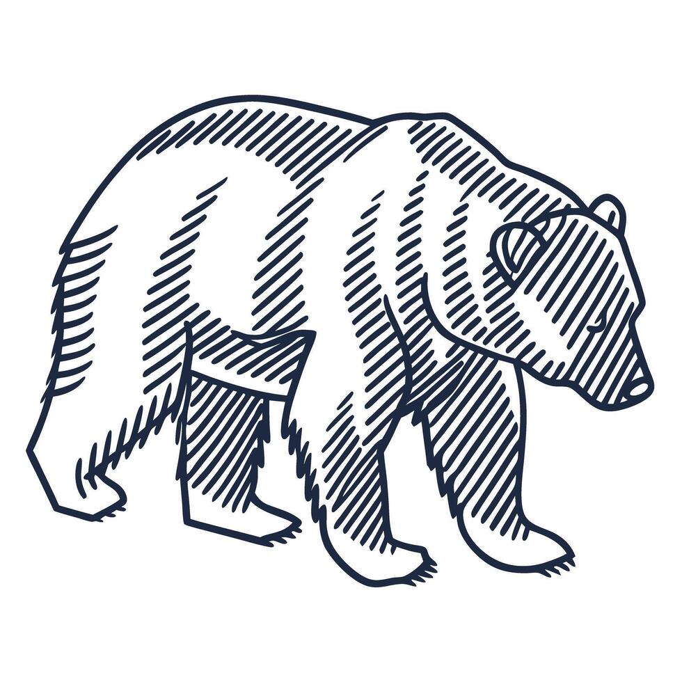 Grizzly bear sketch illustration hand drawn wild animal, vintage line art style, wildlife nature concept vector
