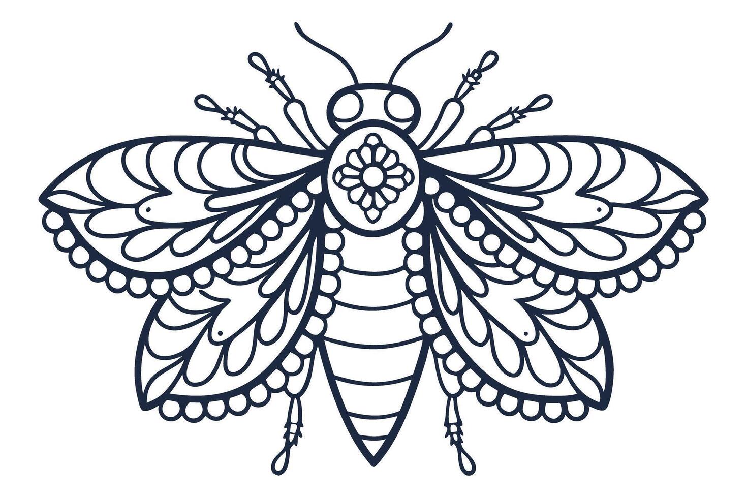 Intricate decorative insect illustration ornamental symmetrical bee or moth line art, tattoo or coloring page design vector