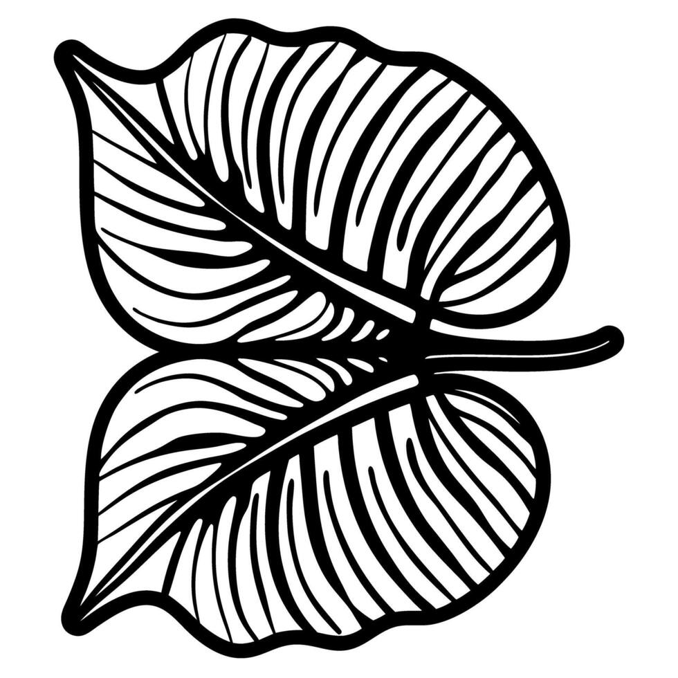 Monstera tropical leaves illustration decorative black and white botanical outline, jungle foliage design element vector