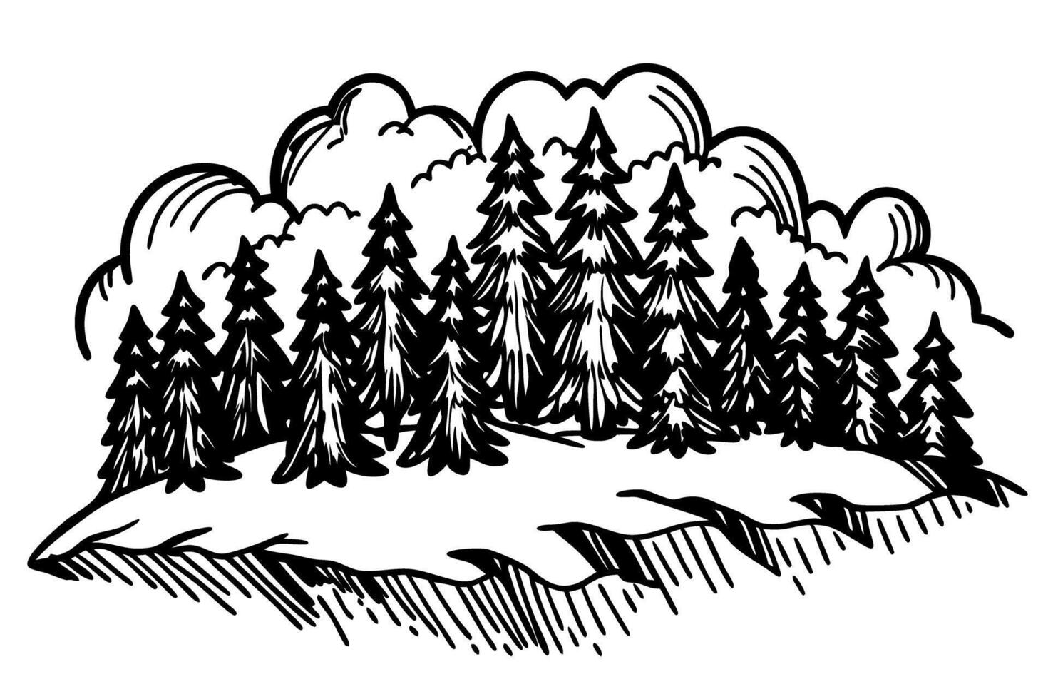 Coniferous forest landscape, pine trees on grassy hill with cloudy sky hand drawn black and white nature illustration vector