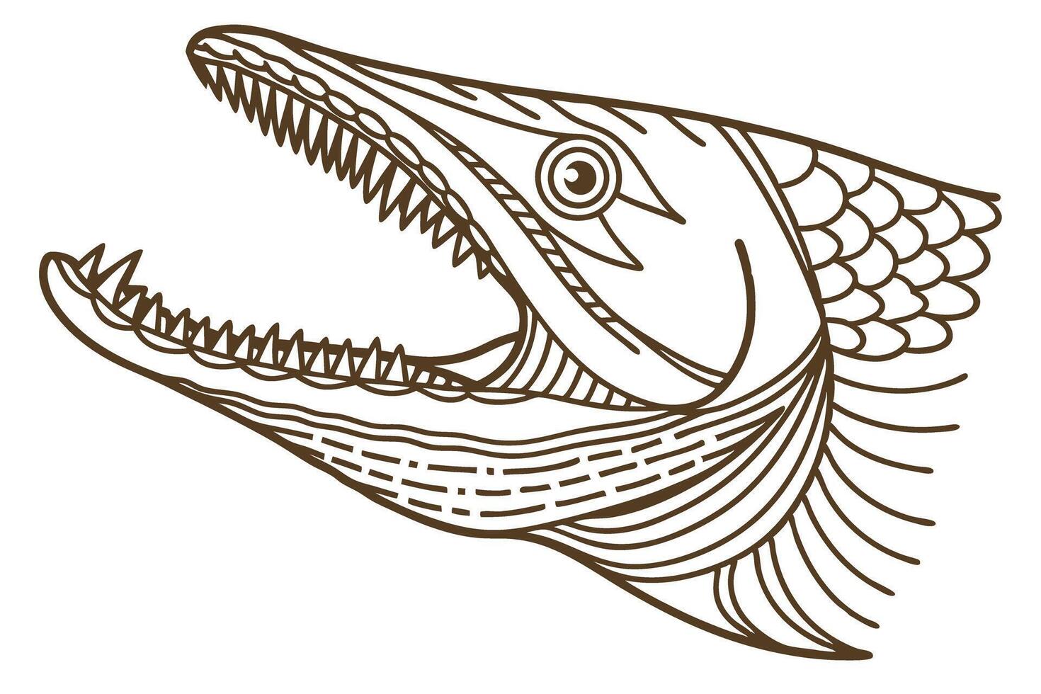 Predatory fish head illustration with open mouth and sharp teeth aggressive aquatic animal line art design vector
