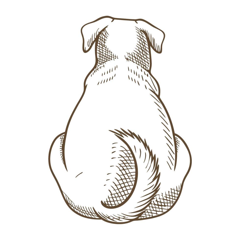 Sitting dog rear view hand drawn sketch of loyal pet animal with curled tail, isolated on white background vector