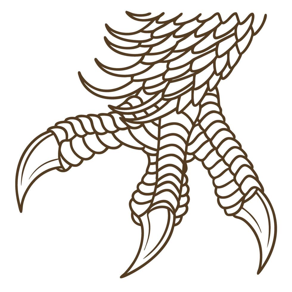 Eagle talon illustration detailed line art of bird claws, powerful predator foot with sharp curved claws and textured scales vector