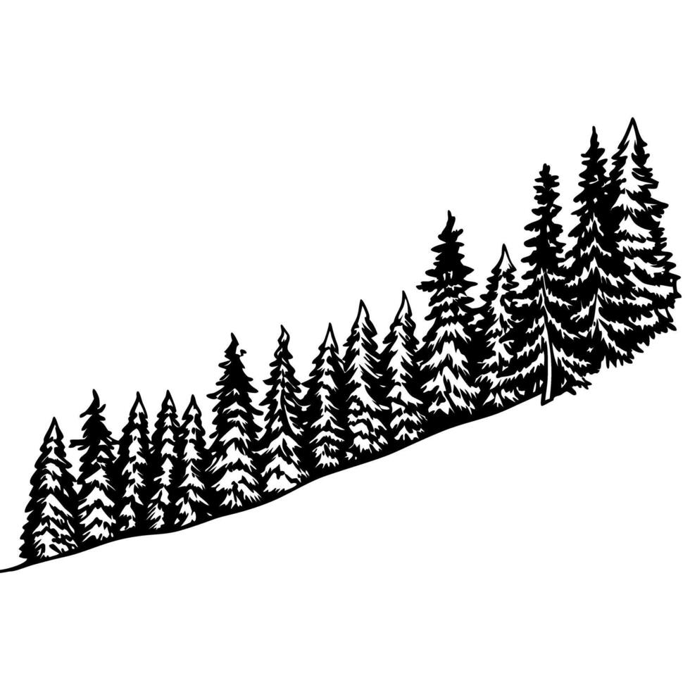Pine forest silhouette on sloped hillside evergreen trees, woodland landscape, nature scenery, wilderness illustration vector