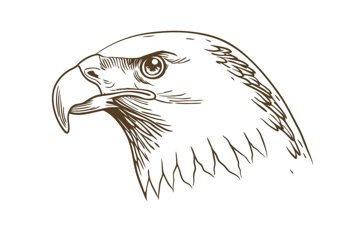 Eagle head sketch illustration on white majestic bird of prey detailed line drawing, symbol of strength and freedom vector