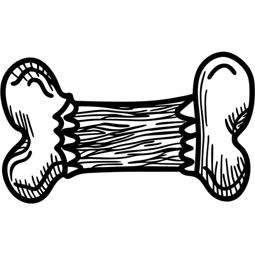 bone illustration hand drawn animal bone, doodle snack for pets, skeletal anatomy element vector