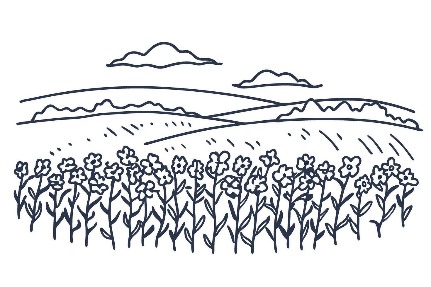 Wildflower meadow and rolling hills landscape illustration, blooming flowers with distant clouds and nature scenery vector