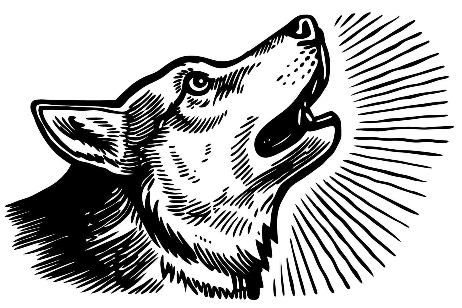 Howling wolf illustration hand drawn wild animal, open mouth, radiating lines, expressive outline, nature wildlife art vector