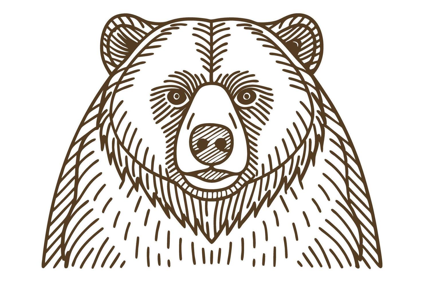 Detailed symmetrical bear illustration wild animal head, hand drawn outline, sketch wildlife graphic art vector