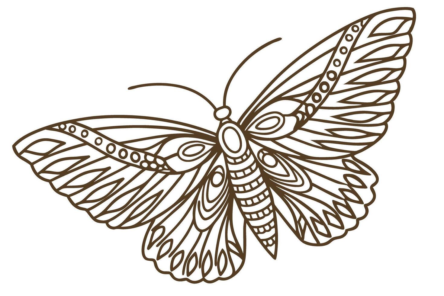 Intricate butterfly outline with detailed wings monochrome line art illustration for coloring or design vector