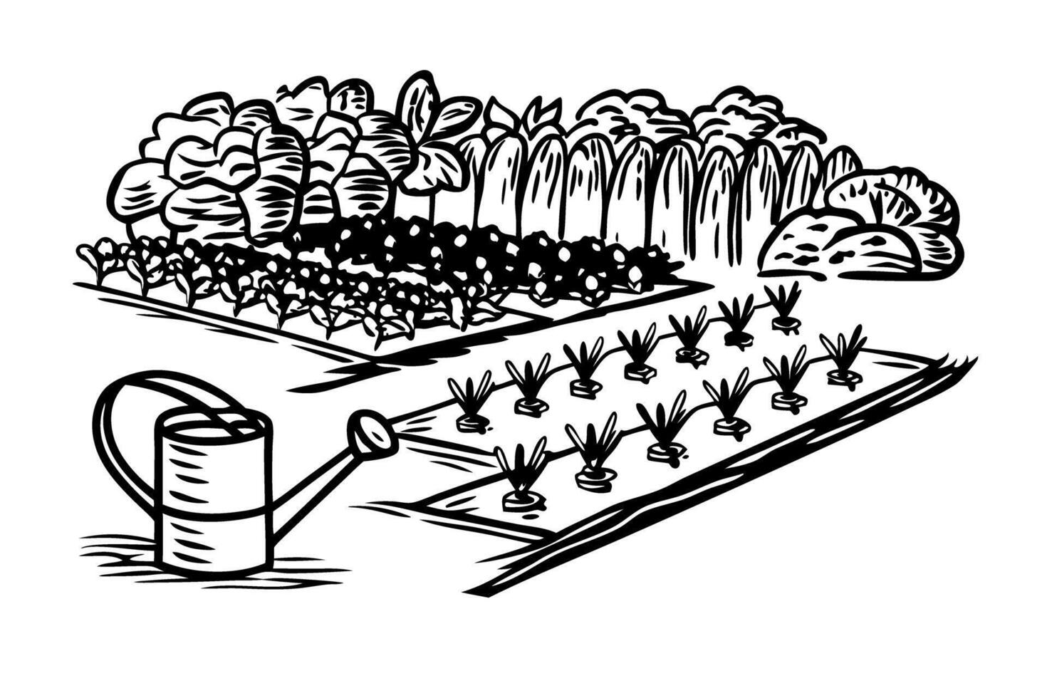 Vegetable garden illustration with rows of plants, watering can, trees and bushes homegrown organic cultivation vector