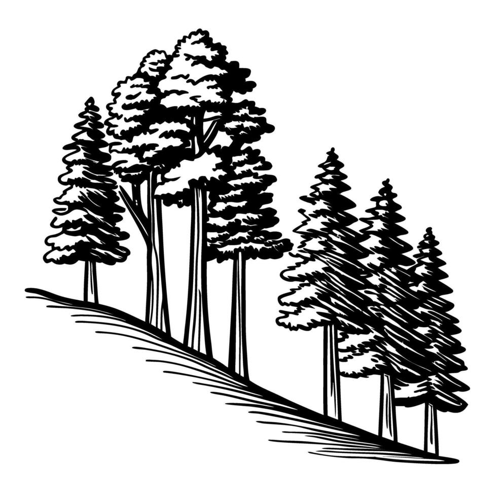 Pine and deciduous trees on sloped hill black and white forest landscape, nature woodland illustration vector