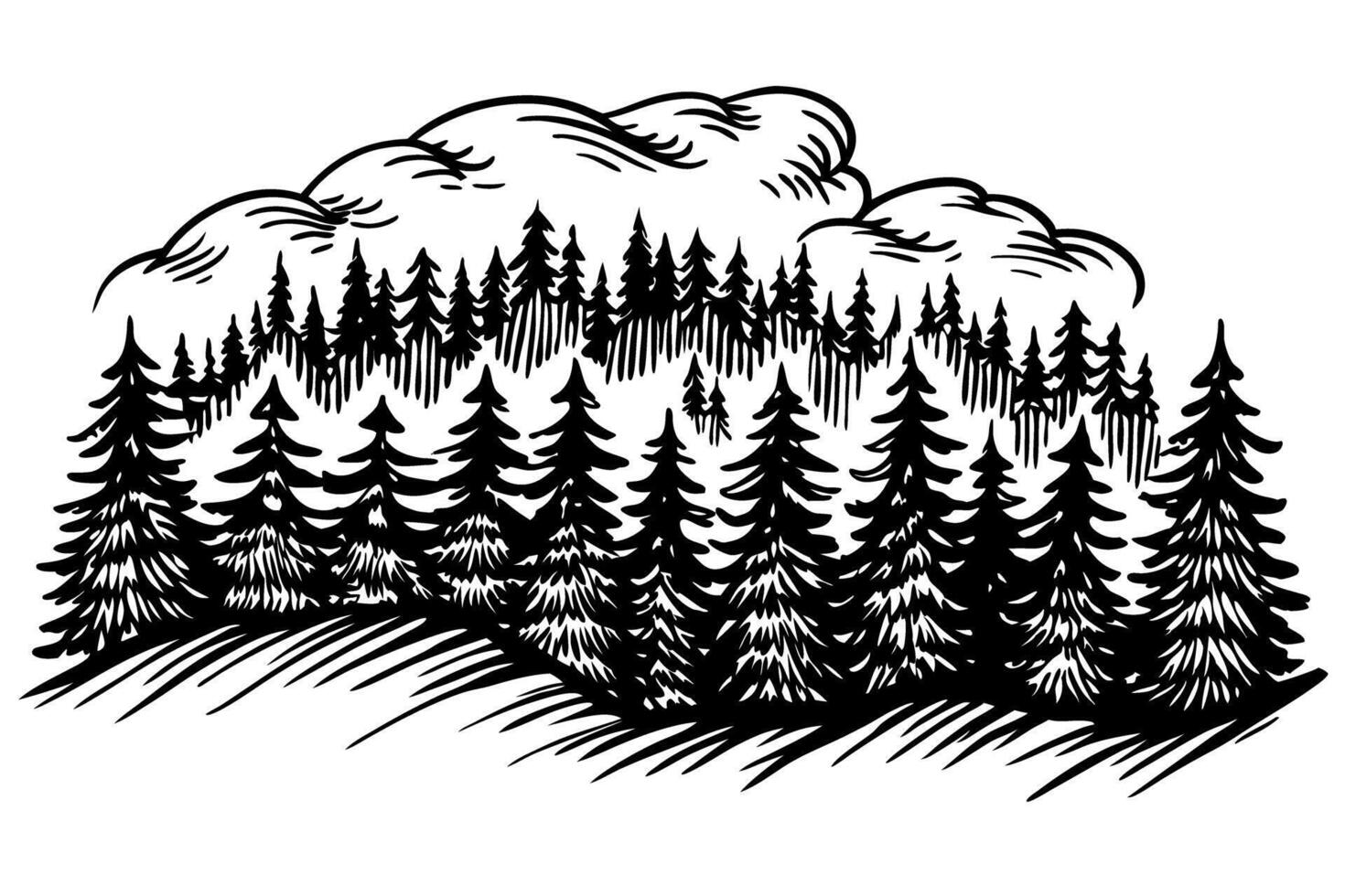 Pine forest landscape illustration hand drawn evergreen trees, natural woodland with coniferous foliage, detailed sketch vector