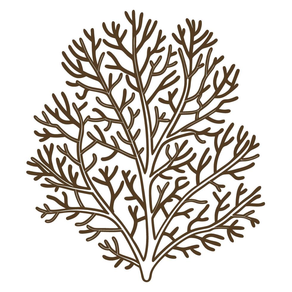 Brown coral silhouette illustration detailed botanical seaweed drawing with natural branches, ocean marine plant design vector