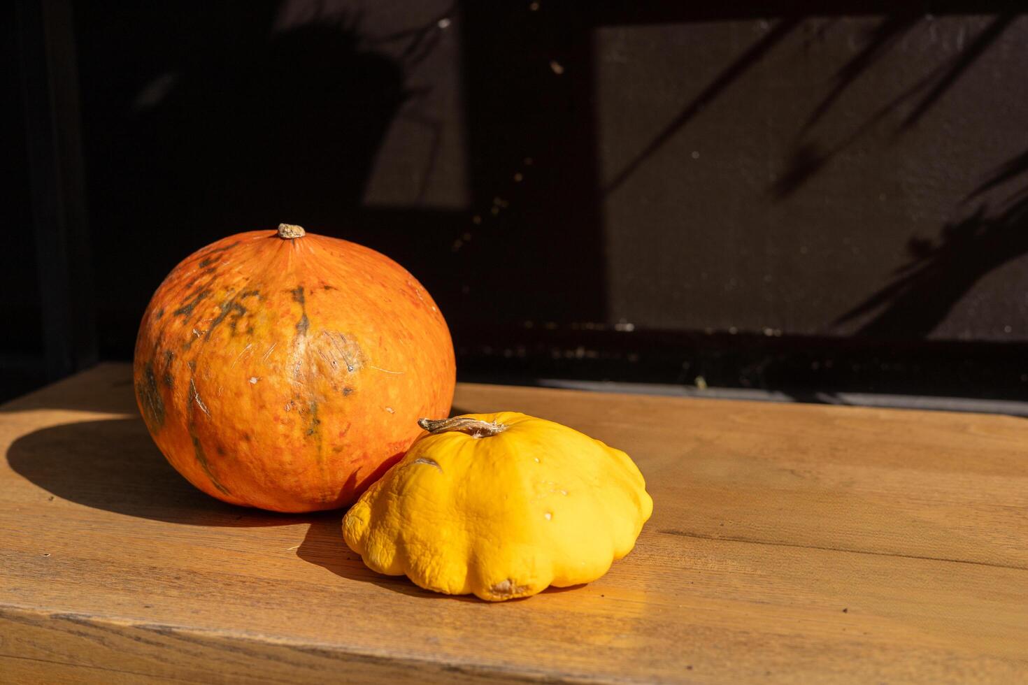 Two rustic pumpkins resting on a wooden table against dark background in autumn light photo