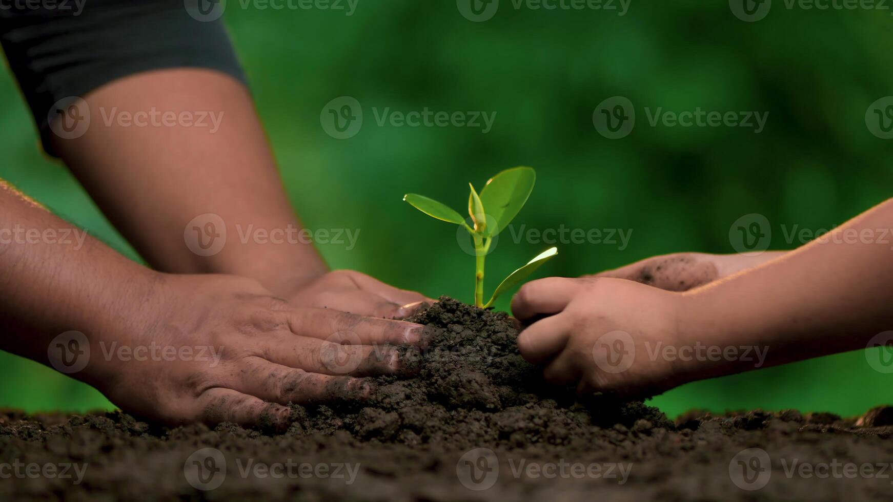 77Planting trees, loving the environment and protecting nature Nourishing the plants World Environment Day To help the world look beautiful photo