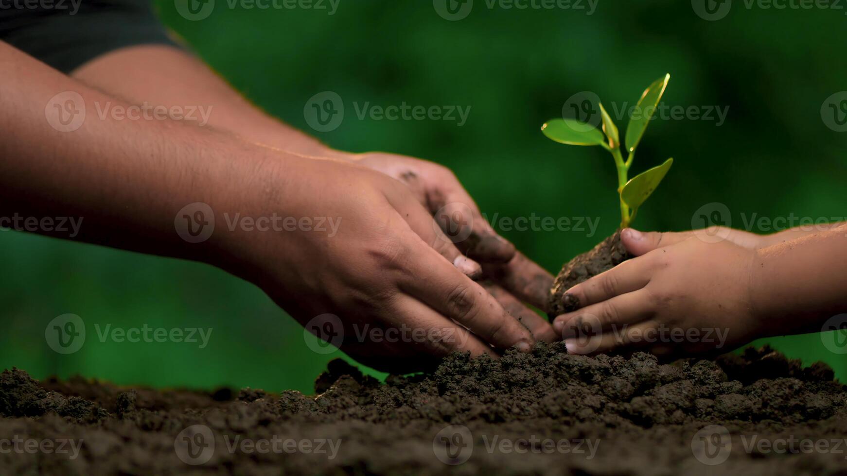 75Planting trees, loving the environment and protecting nature Nourishing the plants World Environment Day To help the world look beautiful photo