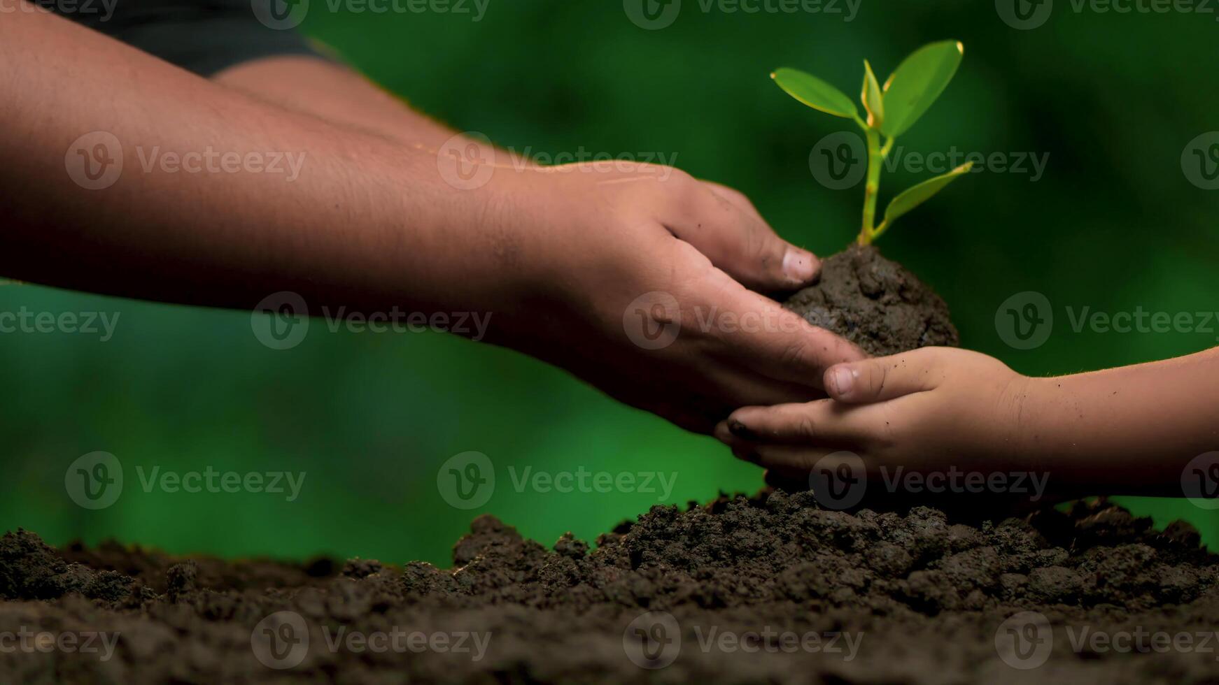 78Planting trees, loving the environment and protecting nature Nourishing the plants World Environment Day To help the world look beautiful photo