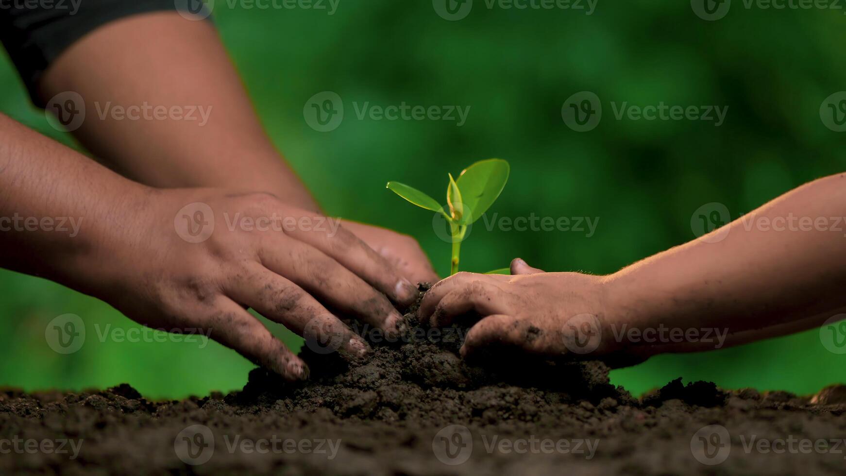 73Planting trees, loving the environment and protecting nature Nourishing the plants World Environment Day To help the world look beautiful photo