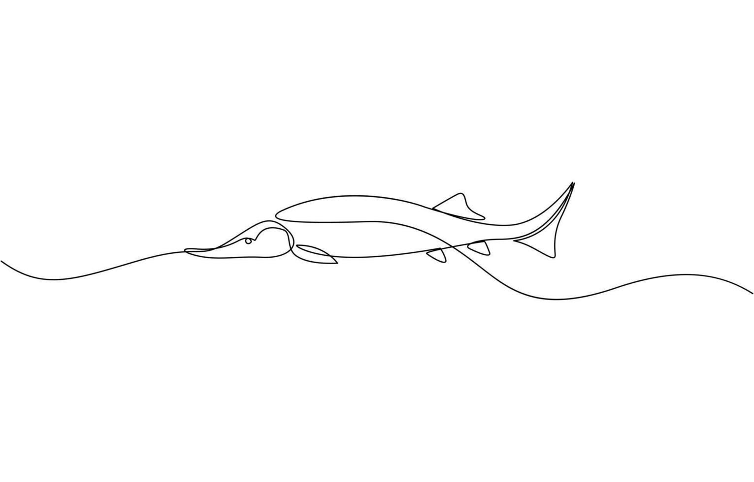 Sturgeon fish in continuous line art drawing style. Minimalist black linear sketch, Sturgeon fish in continuous line art drawing style. Minimalist black linear sketch pro design. vector