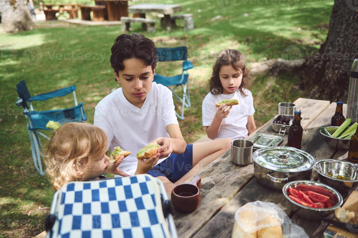 Family Enjoying a Picnic Outdoors with Fresh Food in a Mountain Setting photo