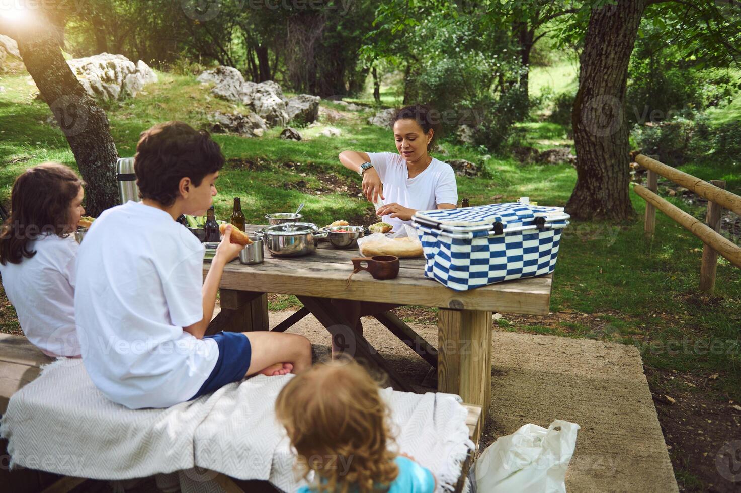 Family Enjoying a Relaxing Picnic in a Scenic Mountain Setting photo