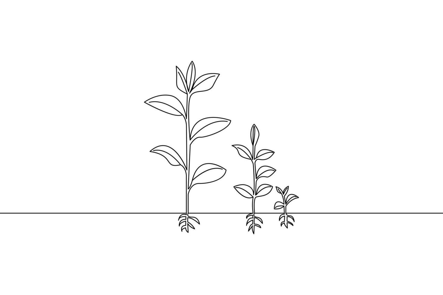 Minimalist line art depicting plant growth stages featuring seedlings plants and roots suitable for educational and environmental concepts vector