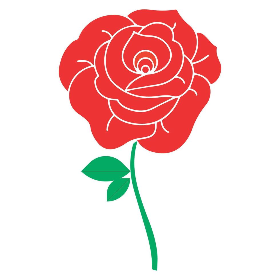 blooming red rose vector