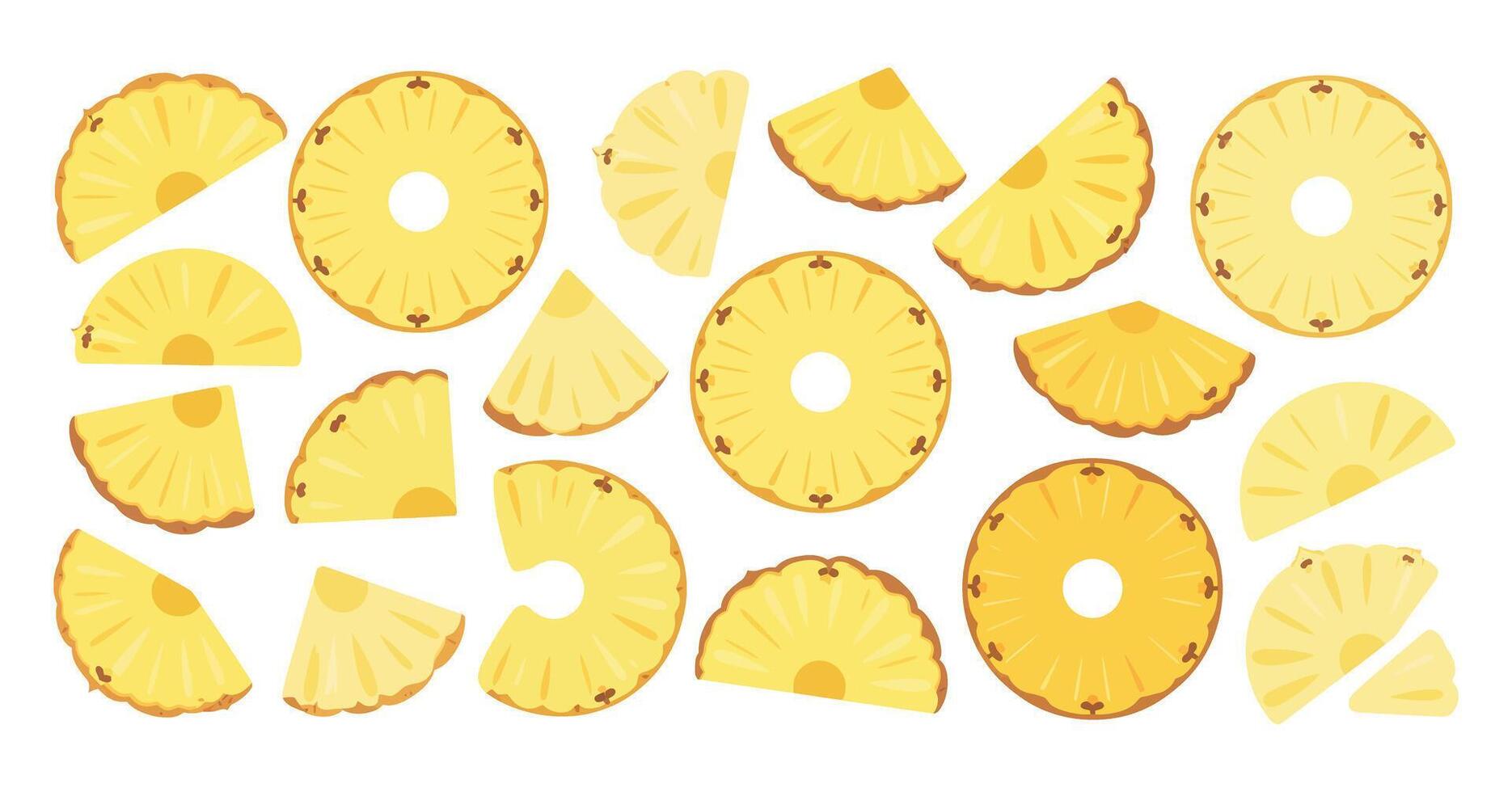 Collection of Pineapple Slices and Rings on White Background Fresh Tropical Fruit Healthy Food Summer Illustration Flat Design Isolated vector