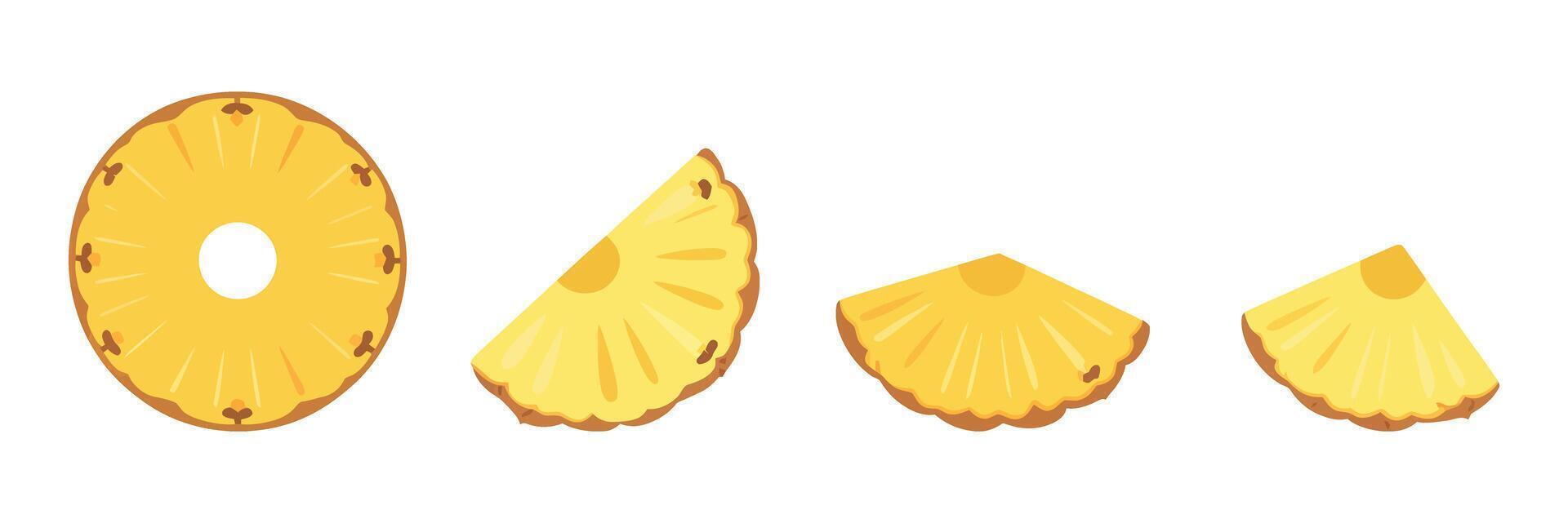 Pineapple Slices Illustration Round Slice and Quarter Slices in a Row on a White Background for Food and Drink Themes vector