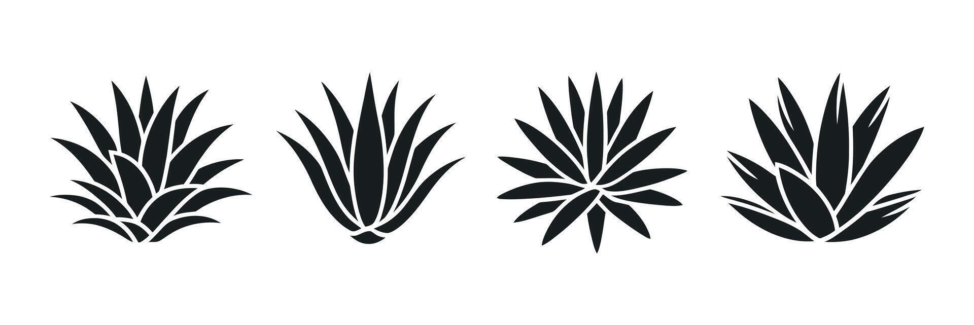 Set of Four Black Agave Plant Silhouettes on a White Background Perfect for Desert Southwestern or Minimalist Designs and Creative Projects Illustration vector