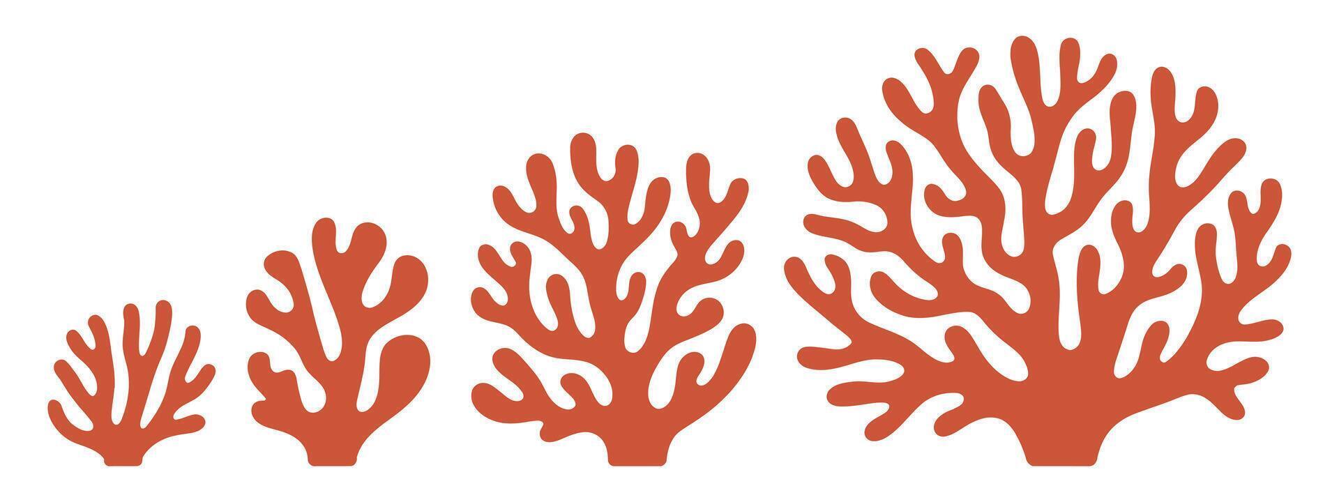 Three Different Sizes of Stylized Coral or Seaweed Illustrations vector