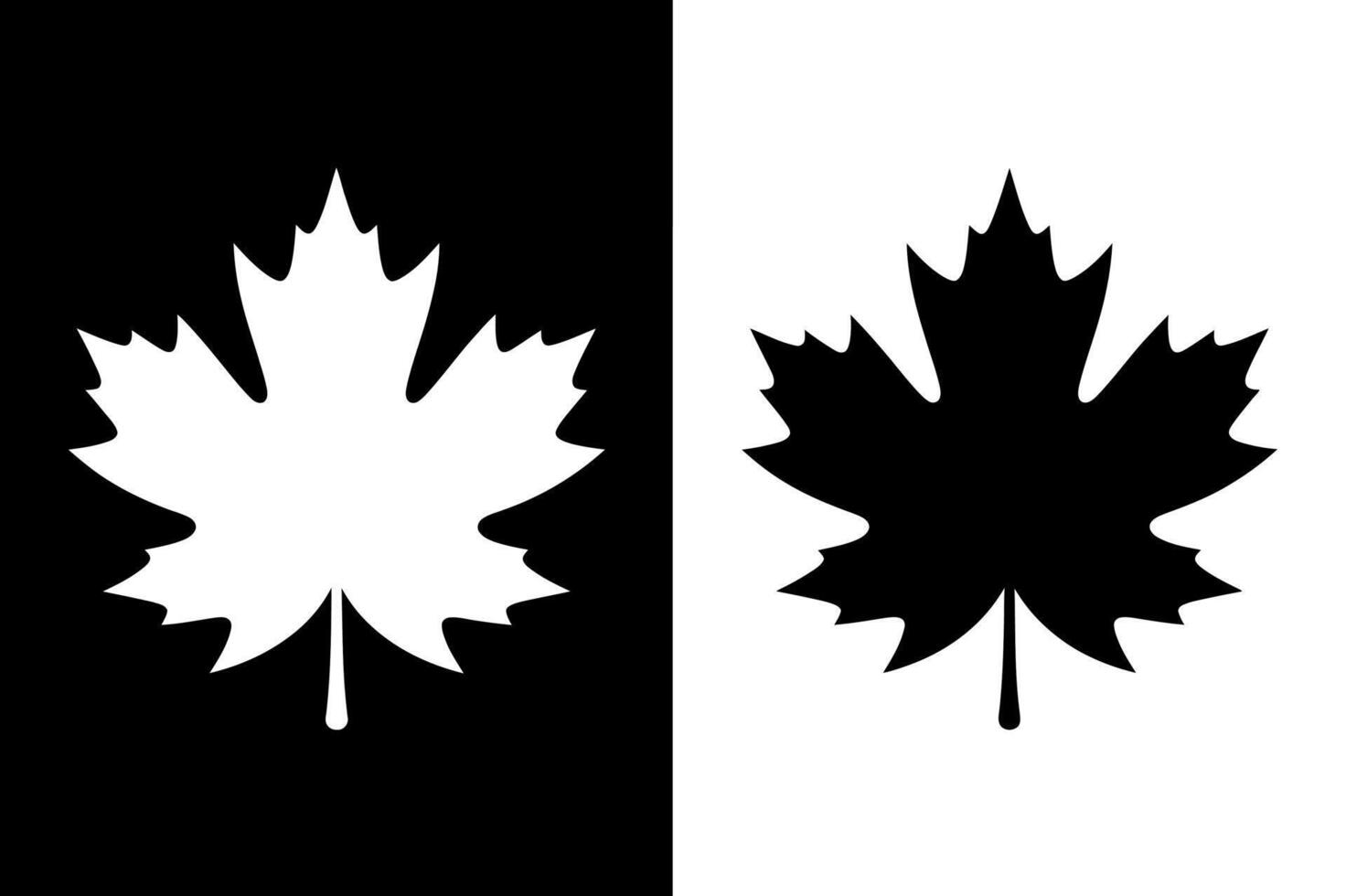Black and White Maple Leaf Design for Graphic Use vector