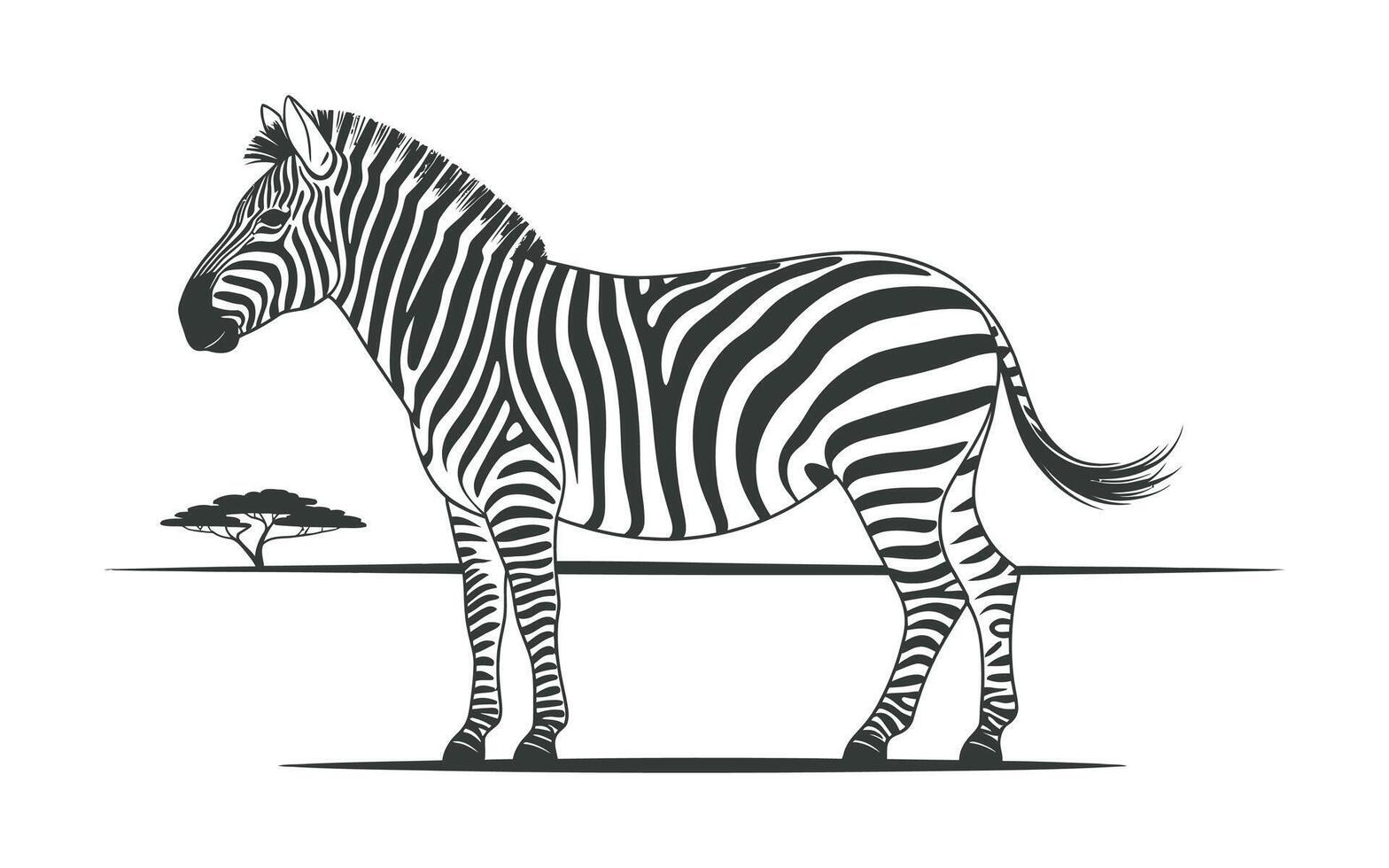 Black and white illustration of a zebra in profile view with an acacia tree in the background vector