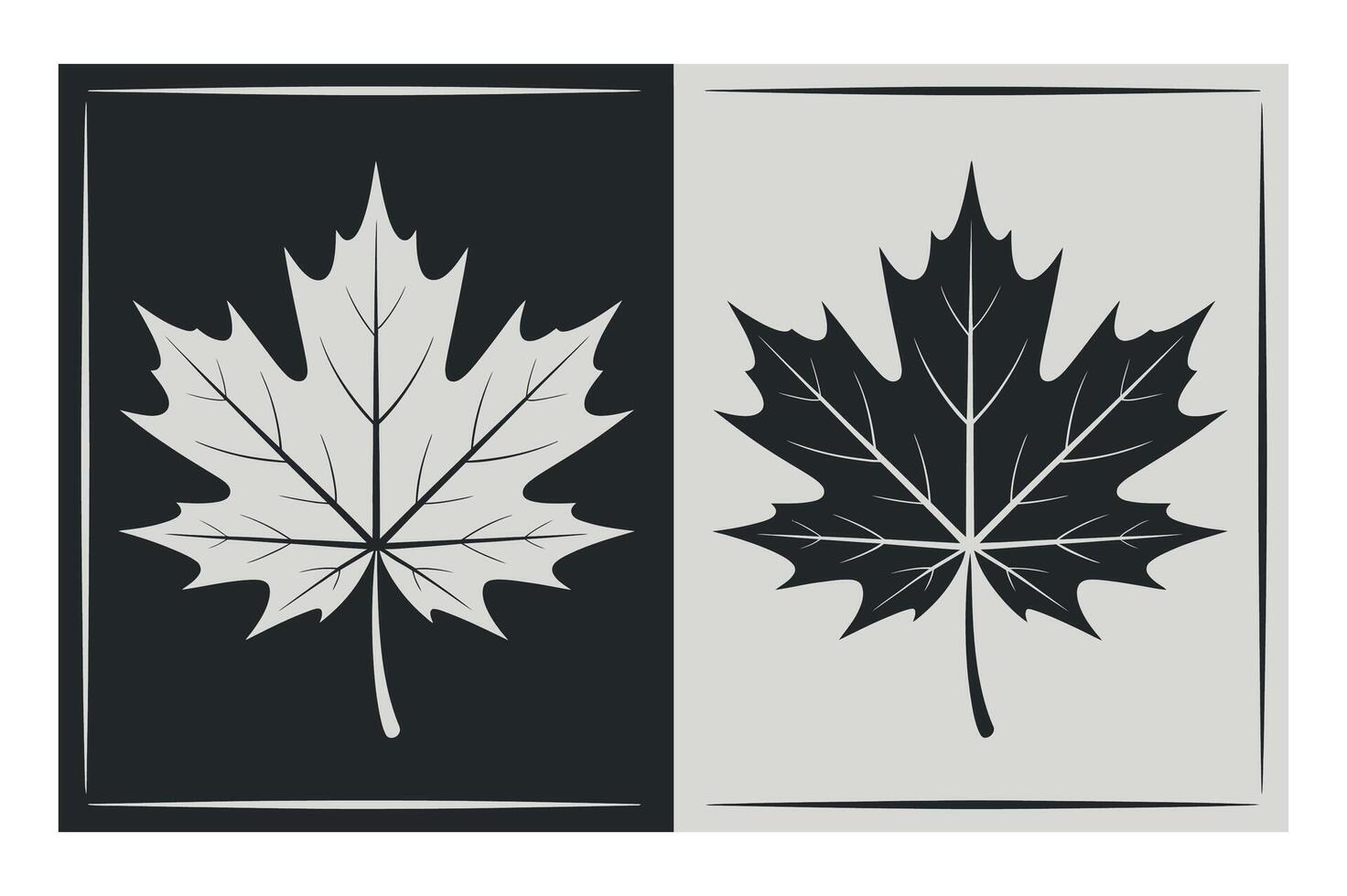 Monochrome Maple Leaf Design in Black and White vector