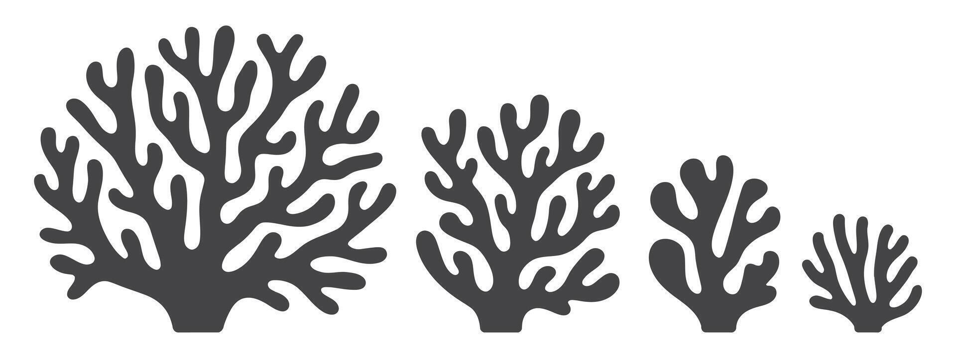 Three stylized silhouettes of sea kelp or coral vector